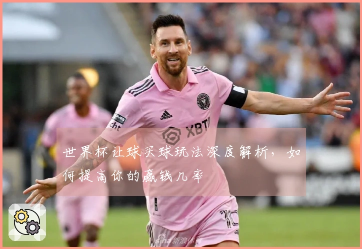 世界杯让球买球玩法深度解析，如何提高你的赢钱几率