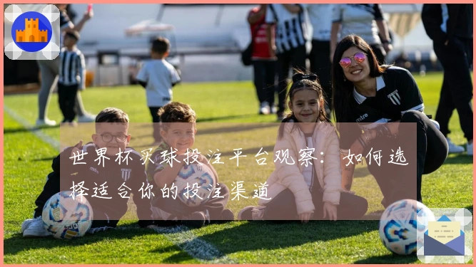世界杯买球投注平台观察：如何选择适合你的投注渠道