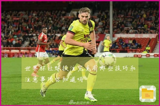 世界杯让球投注究竟有哪些技巧和注意事项你知道吗