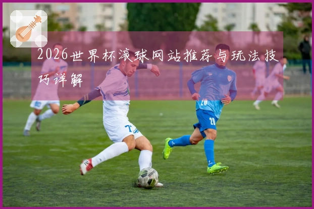 2026世界杯滚球网站推荐与玩法技巧详解